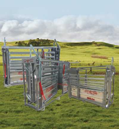 Buy Livestock Crush Cattle